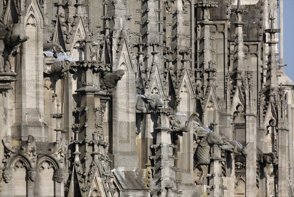 Ulm Cathedral