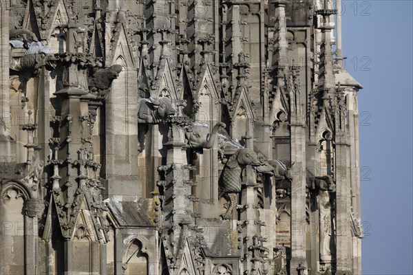 Ulm Cathedral