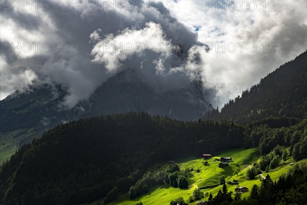 Mountain huts in sunny spot on mountain meadow with mountain forest behind