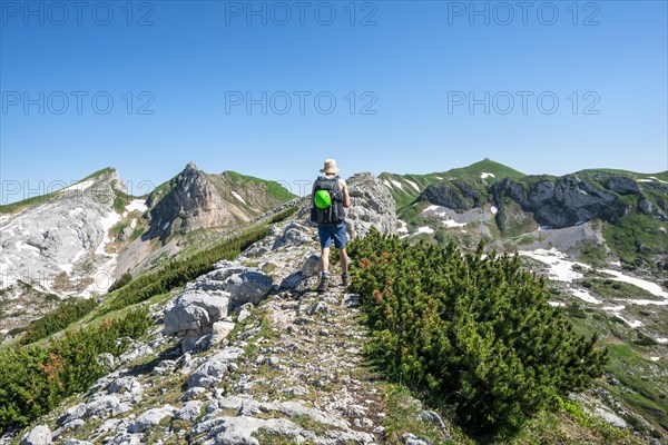 Hiker on a hiking trail