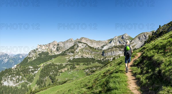 Hiker on a hiking trail