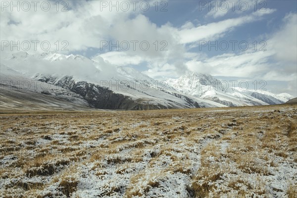 Snowy landscape