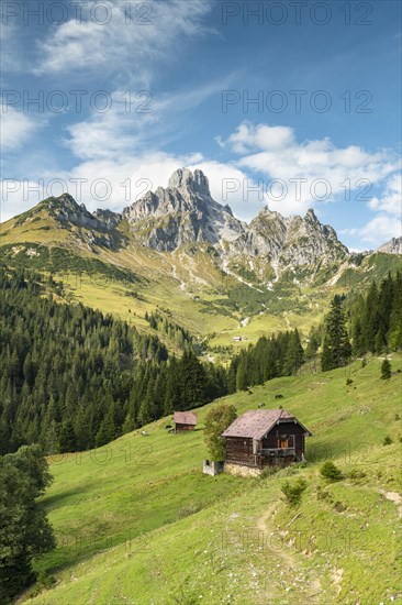 Bishop's mitre with alp in the foreground