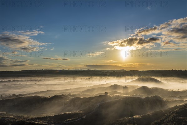 Wafts of mist in backlight over heath landscape