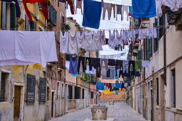 Clotheslines stretched between houses