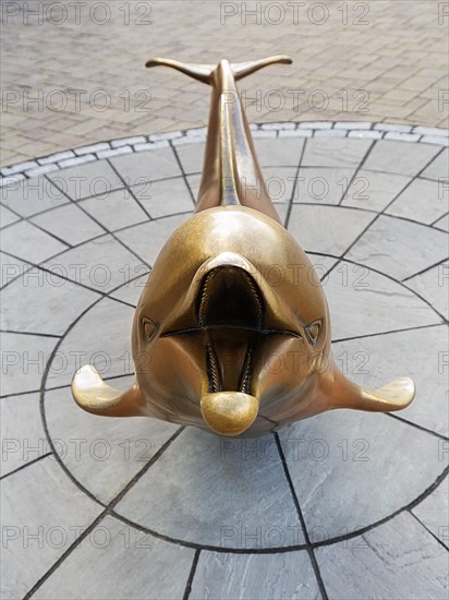 Bronze sculpture of Dolphin Fungie