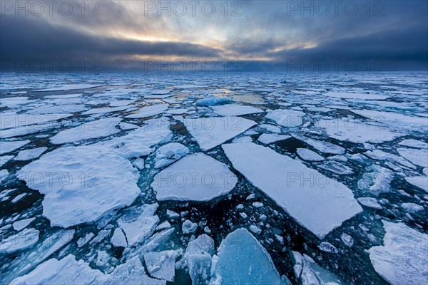 Ice field in the sea