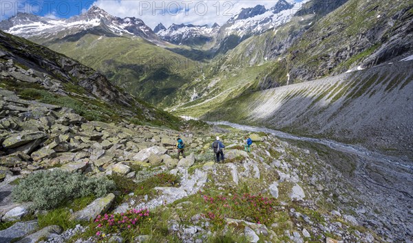 Hiker on marked hiking trail