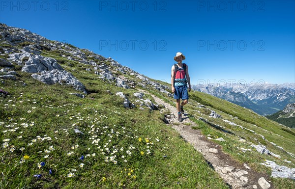 Hiker on a hiking trail