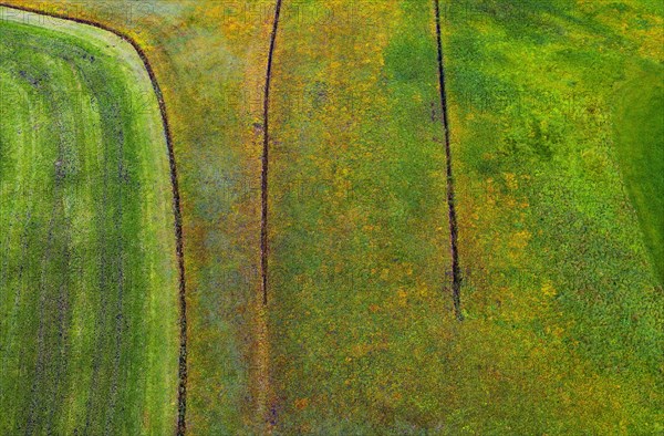 Rough meadow or wet meadow with drainage ditch