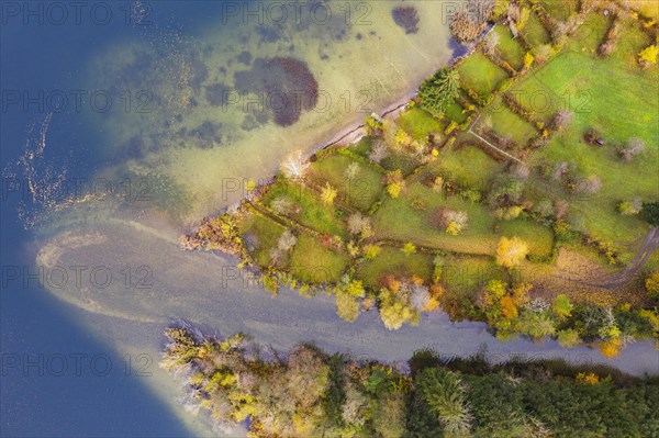River delta of the Wangauer Ache into the Mondsee with autumnally discoloured mixed forest