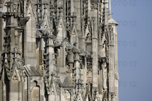 Ulm Cathedral