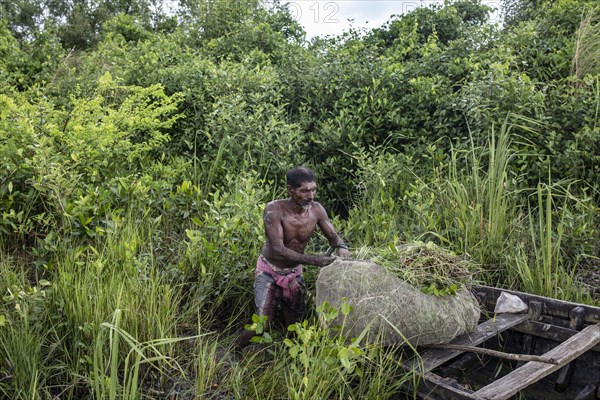 Honey collector with his boat