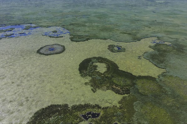 Aerial view on the lake covered with European white water lily