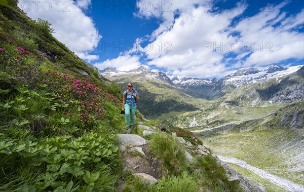 Hiker on the descent from the Schoenbichler Horn to the Berliner Huette