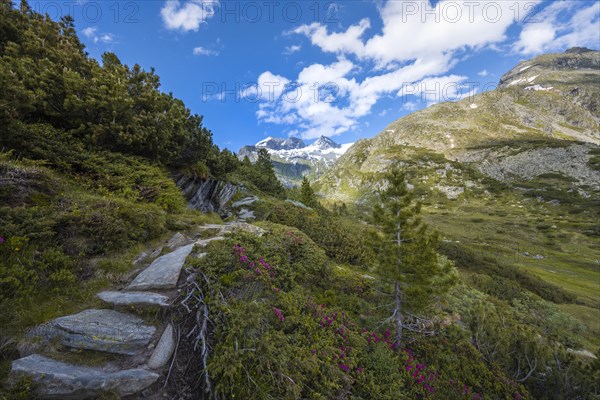 Hiking trail