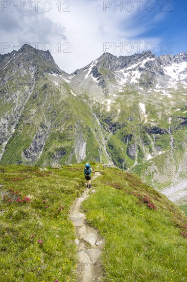 Hiker on the descent from the Moerchnerscharte to the Greizer Hut