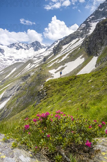 Hiker on the descent from the Moerchnerscharte to the Greizer Hut