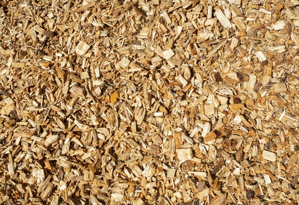 Wood chips