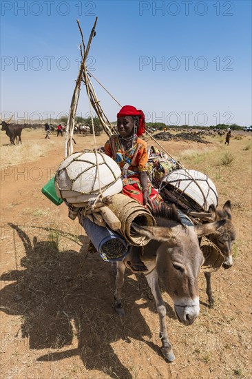 Caravan of Peul nomads with their animals in the Sahel of Niger