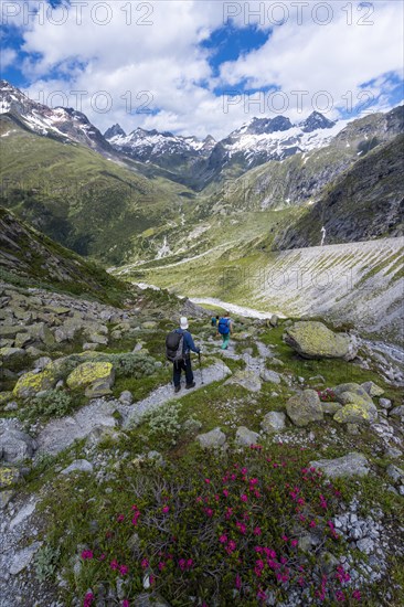 Hiker on marked hiking trail