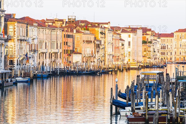 Historical house facades on the Canale Grande in the morning light