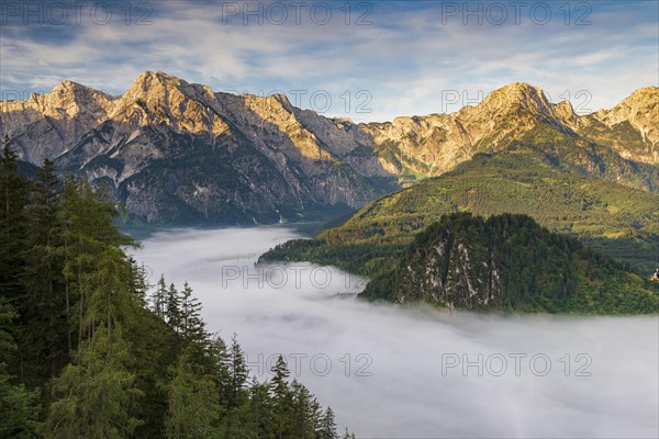 Almsee im Nebel