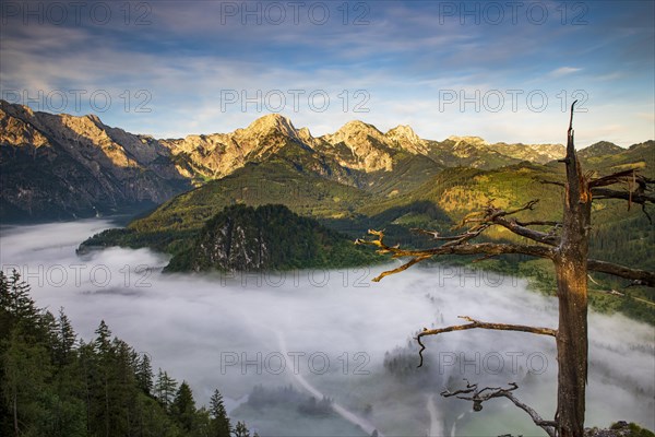 Almsee im Nebel