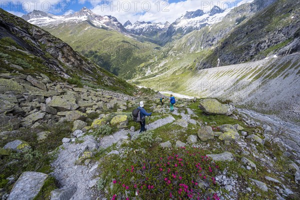 Hiker on marked hiking trail