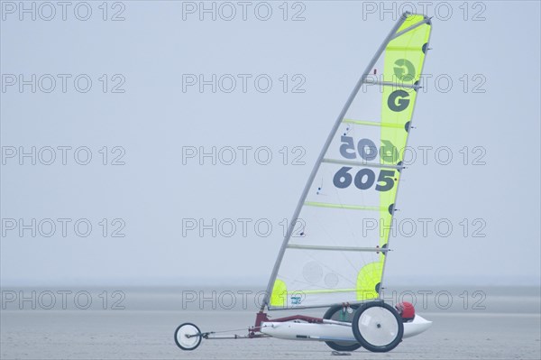 Beach sailer