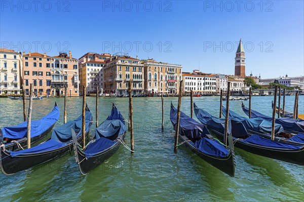 Parking gondolas in the Canale Grande