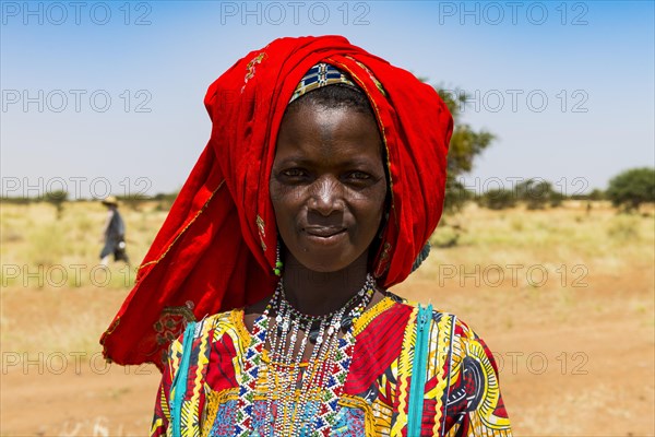 Colourful dressed woman travels with a caravan of Peul nomads and their animals in the Sahel of Niger