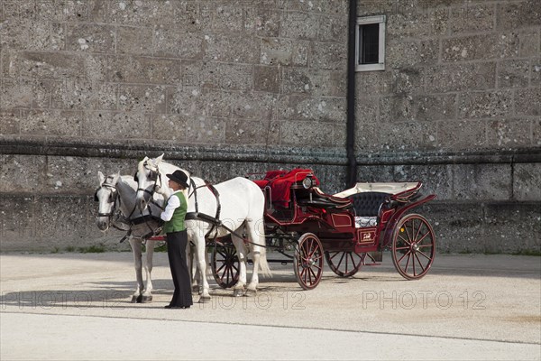 Horse and carriage in front of the Dom or Cathedral