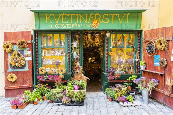 Flower shop in the Hradschiner Vorstadt