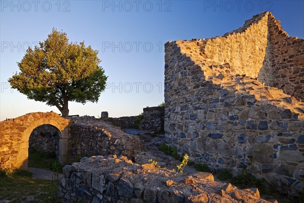 Ruin Loewenburg at sunrise