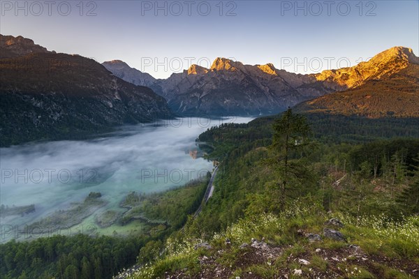 Almsee im Nebel