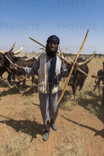 Caravan of Peul nomads with their animals in the Sahel of Niger