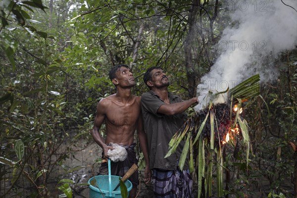 Two honey collectors after lighting damp perennials and leaves with fire accelerant to produce smoke