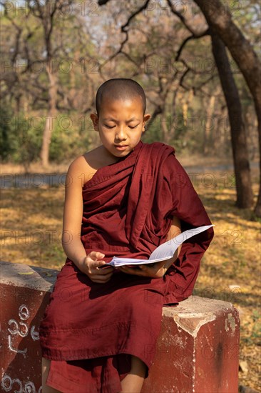 Child monk with red robe reading on a red wall