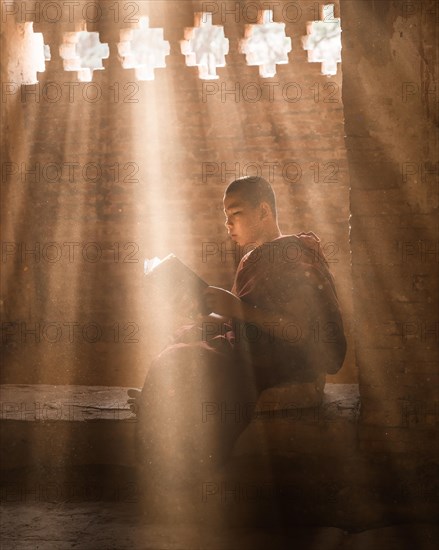 Buddhist young monk in red robe reading sitting in front of rays of light in a temple