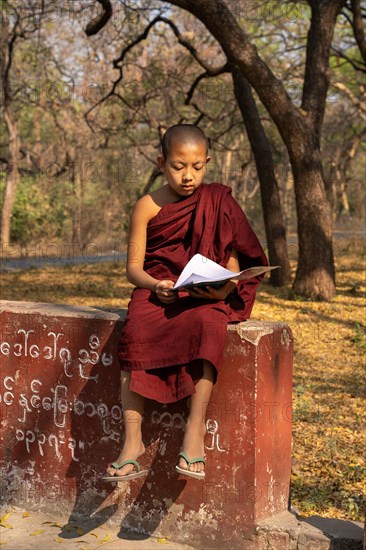 Child monk with red robe reading on a red wall