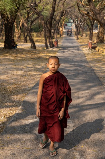 Children's monk with red robe walks through tree alley