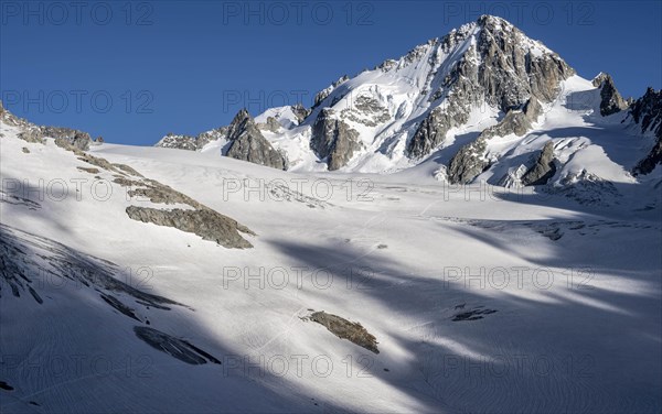 Glacier du Tour