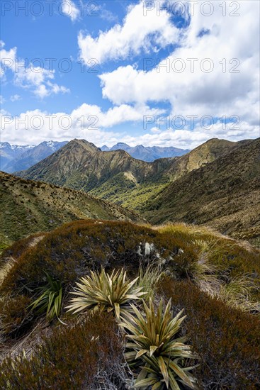 View of Murchison Mountains and Kepler Mountains