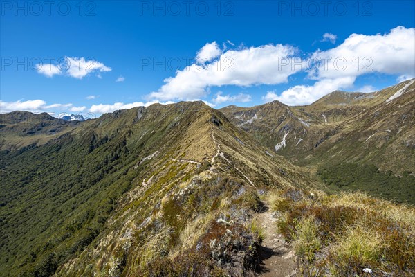 Kepler Track