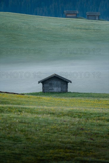 Single hut on foggy meadow