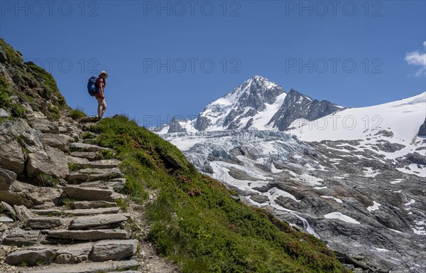 Mountaineer