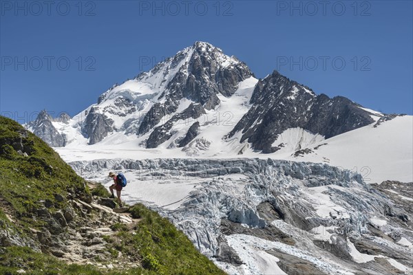 Mountaineer