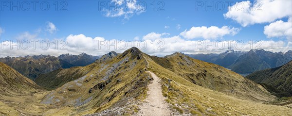 Kepler Track