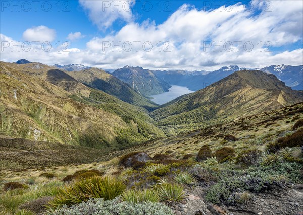 South Fiord of Lake Te Anau